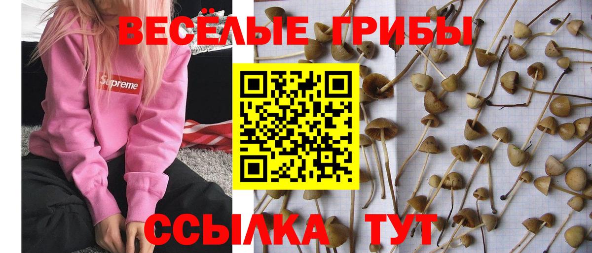 Псилоцибиновые грибы ЛСД  Вход с VPN  Ишим 